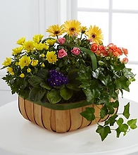 The Gentle Blossoms™ Basket